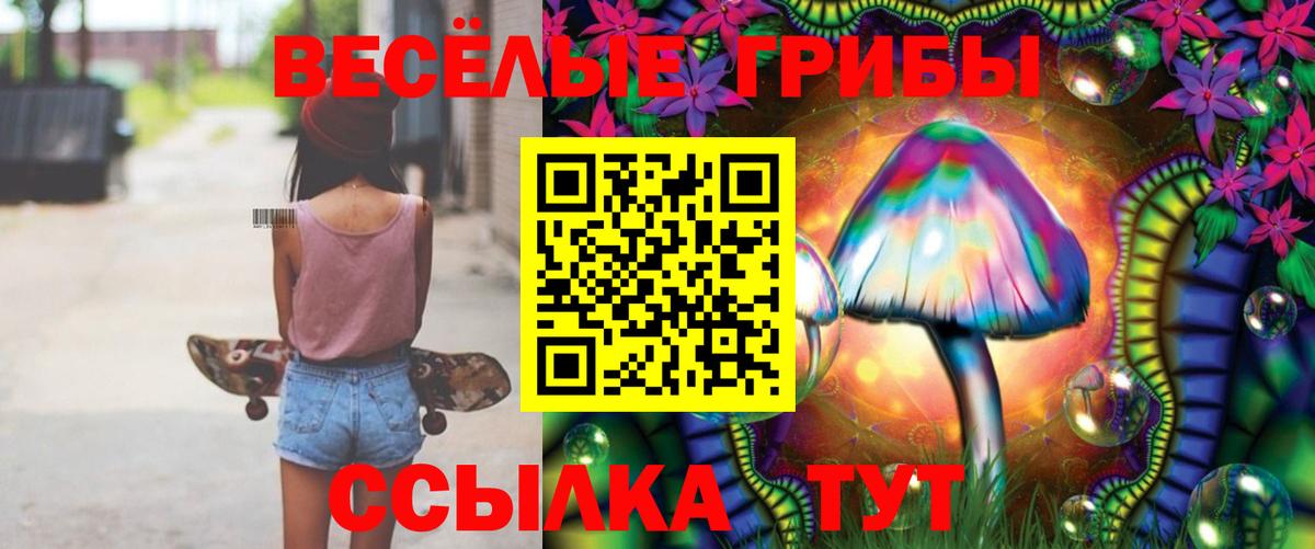 Галлюциногенные грибы GOLDEN TEACHER Арзамас